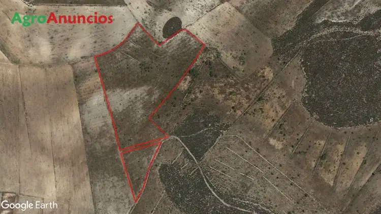 Venta  de Terreno de secano en Almería