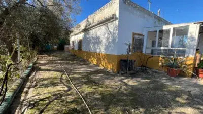 Finca Rústica Jerez 5800m² Casa 350m² Bodega Nave Aljibe Pozo