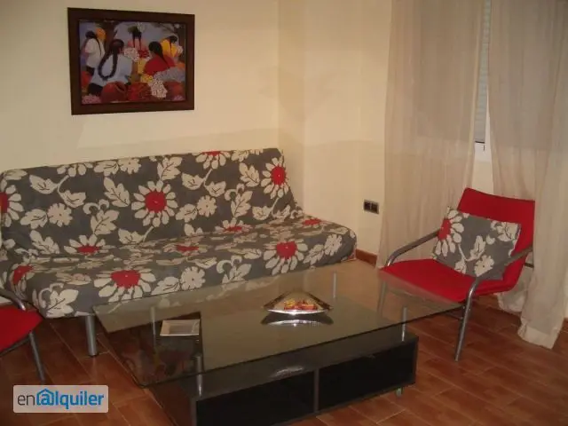 Alquiler piso estudiantes Teatinos-Universidad