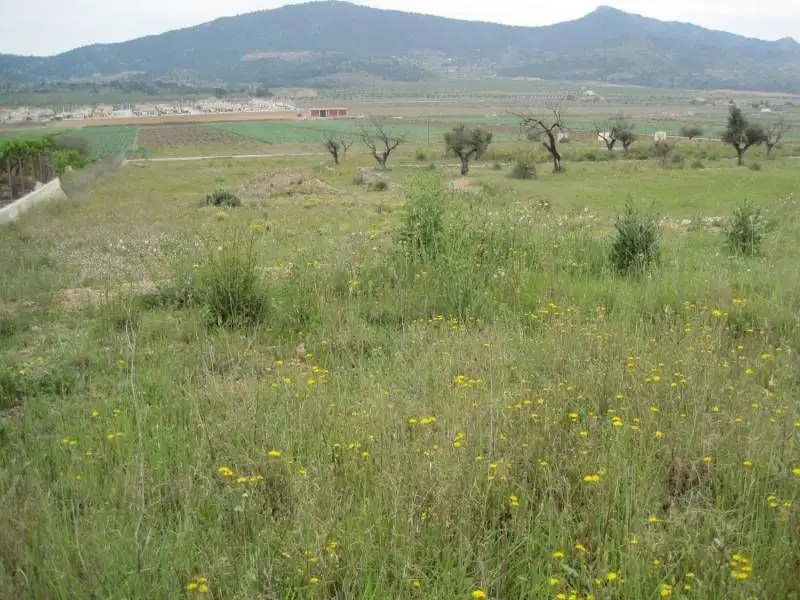 Venta Parcela Vistas Rebalso Hondon de Las Nieves