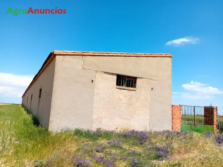 Venta  de Finca con edificio ganadero y nave agrícola en Segovia