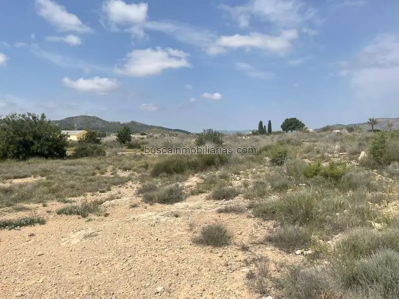 Terreno Rustico en Venta Novelda Horna Baja
