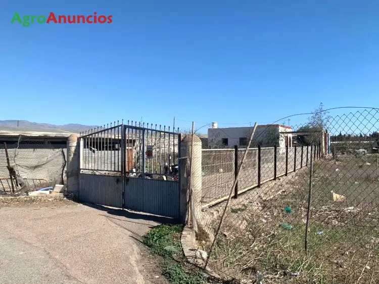 Venta  de Finca con cortijo en Almería