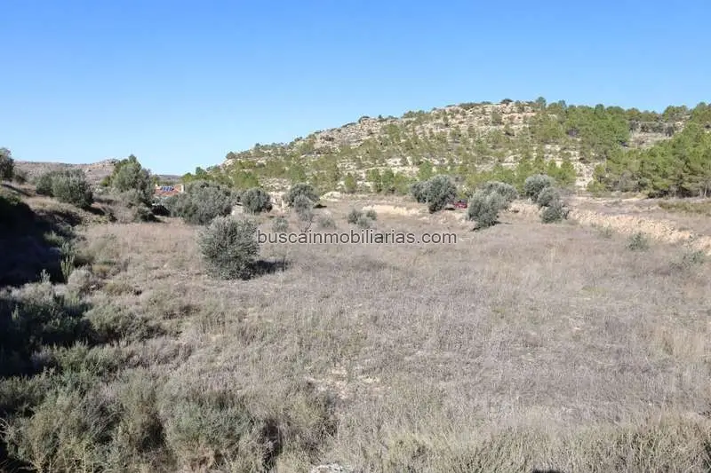 Parcela Rustica en Venta Alcañiz 6891m2