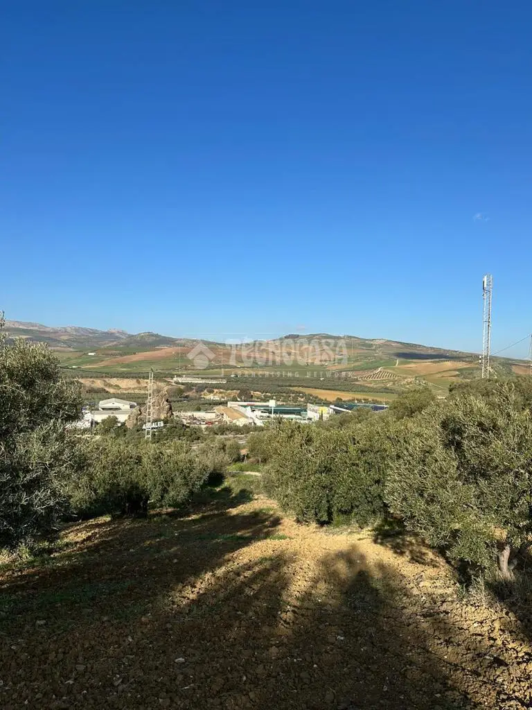 Finca Rustica en Venta Ardales 3000m2
