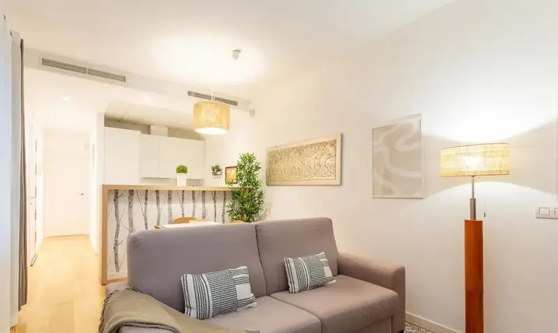 Apartamento en Alquiler Madrid Calle Ayala 2 dormitorios 1 bao