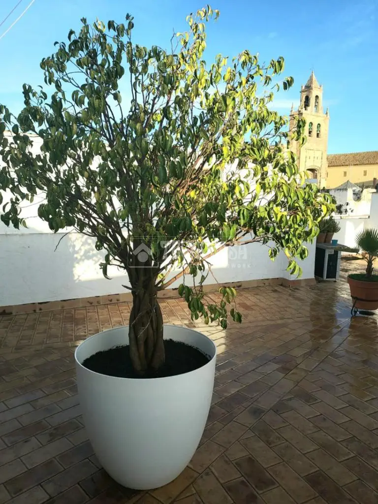 Piso en venta en Utrera Centro 3 dormitorios 2 baños
