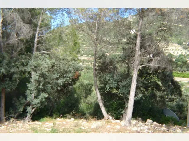 Terreno en Venta Alcalali 800m2 Vistas Montaña
