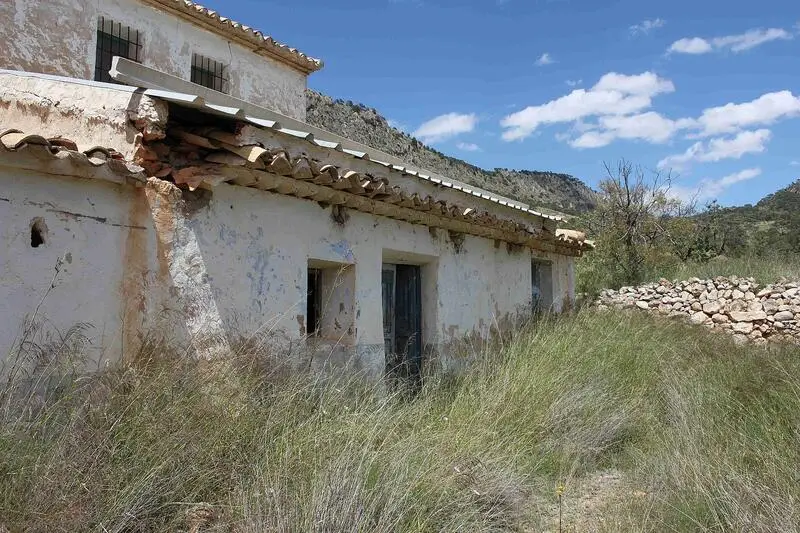 Casa Cueva con Ruinas y Gran Parcela en Jumilla