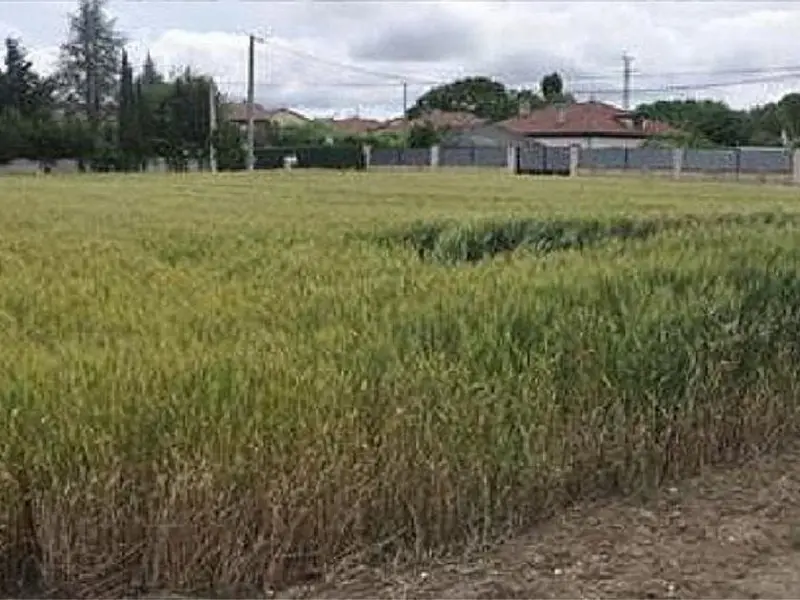 venta Terreno en Galar, Navarra (SRB0000271619)- Globaliza