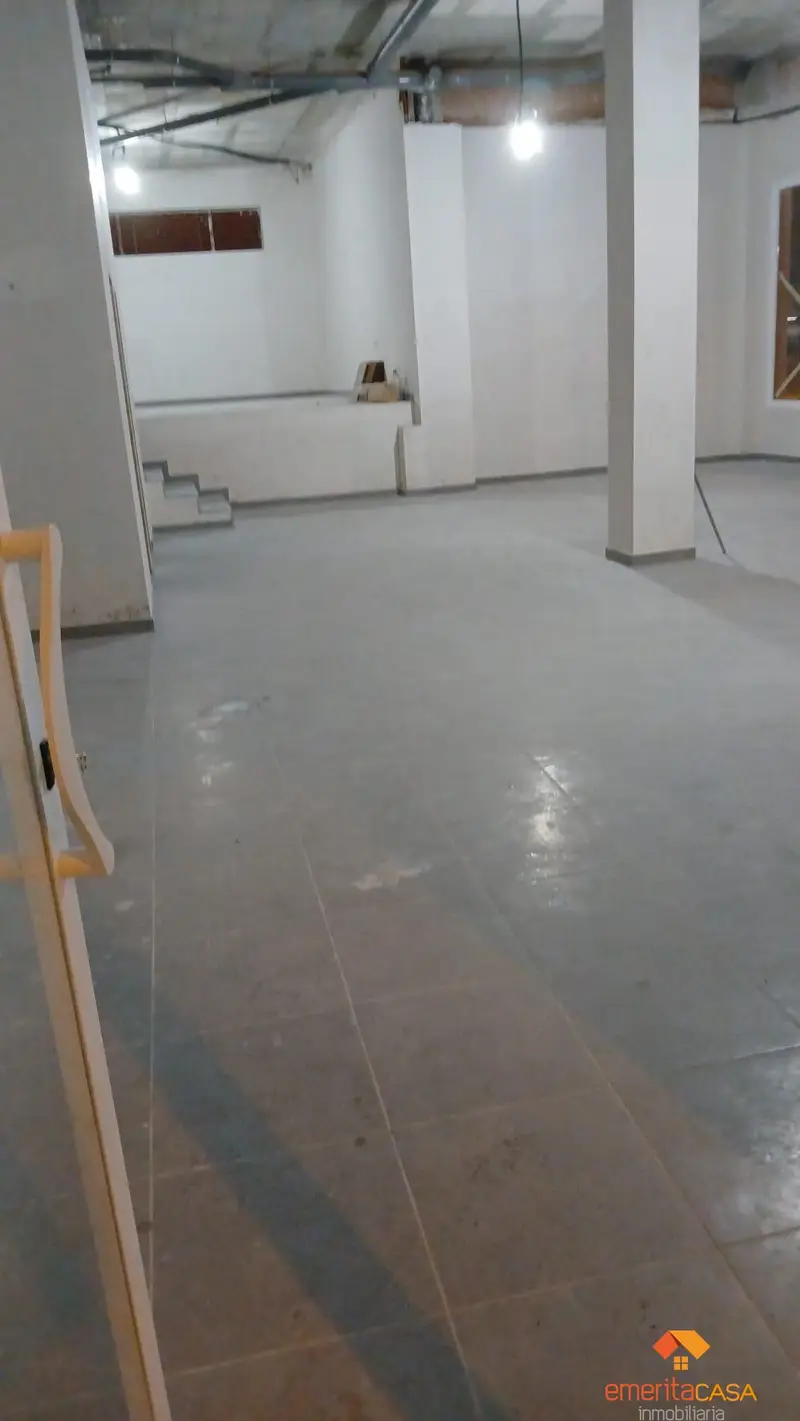Venta Local Comercial Mérida Avenida Reina Sofia