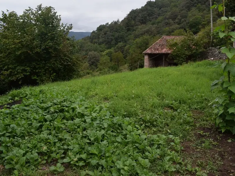 venta Terreno en Cangas de Onis, Asturias (PAR0017)- Globaliza