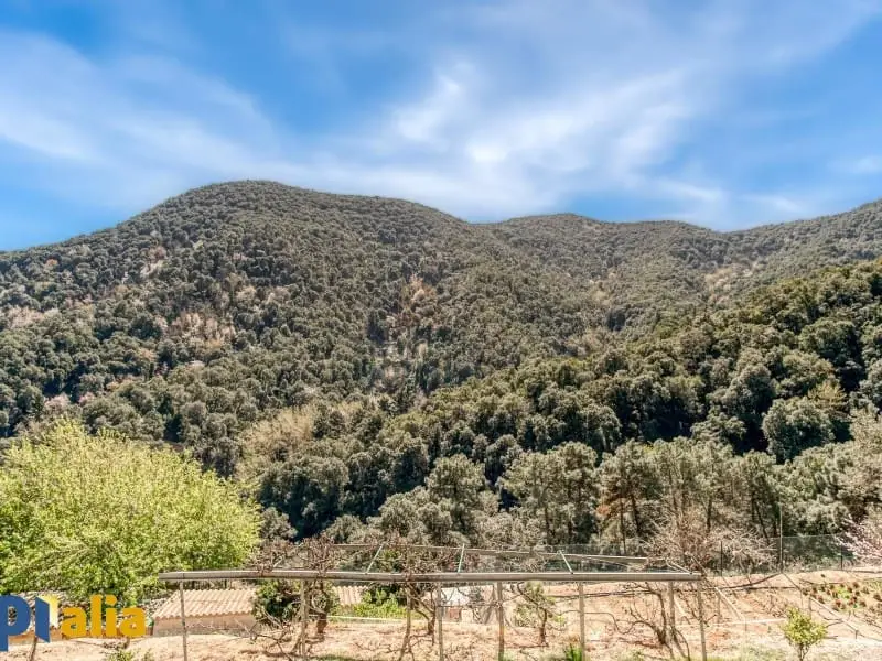 Masia en venta en Tordera Barcelona