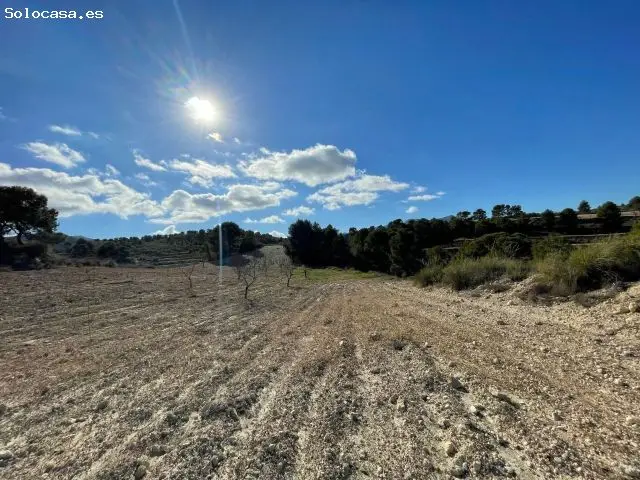 Parcela Edificable 43593 m2 La Zarza Badajoz