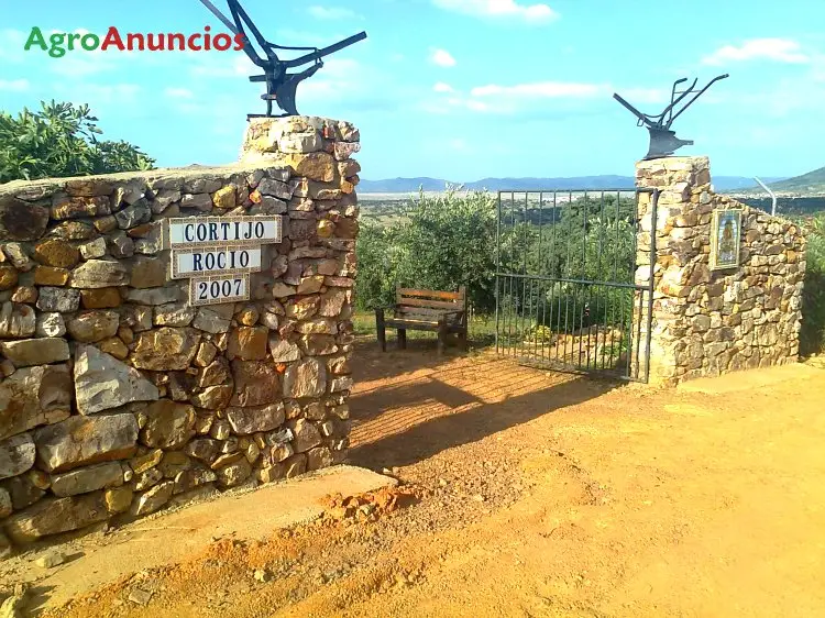 Venta  de Finca de frutales y olivos en Badajoz