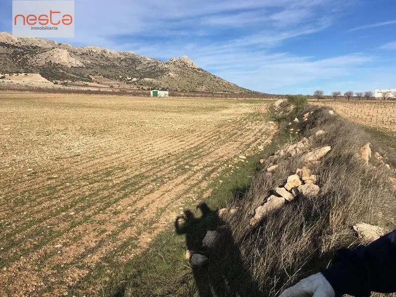 Venta Terreno Chirivel 245 ha Almendros Ecológicos