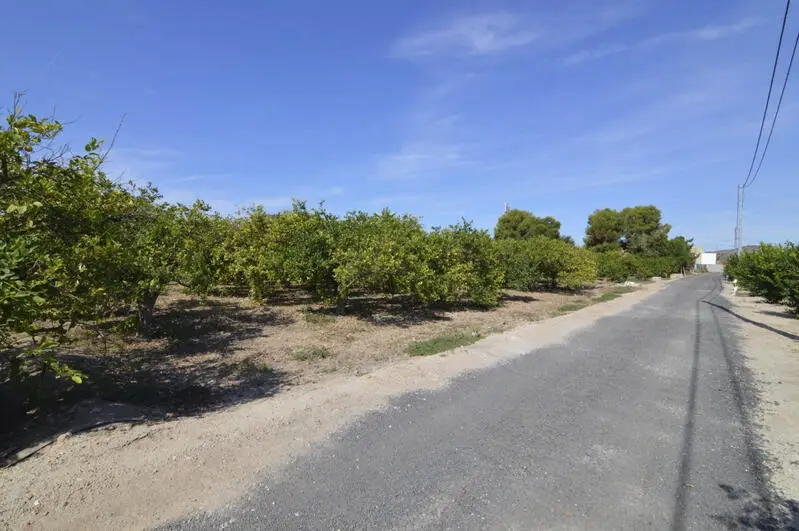 Terreno Rustico en Venta Santomera Murcia 2600m2