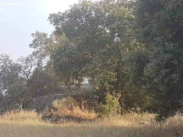 Terreno Rural en Esparragalejo Badajoz
