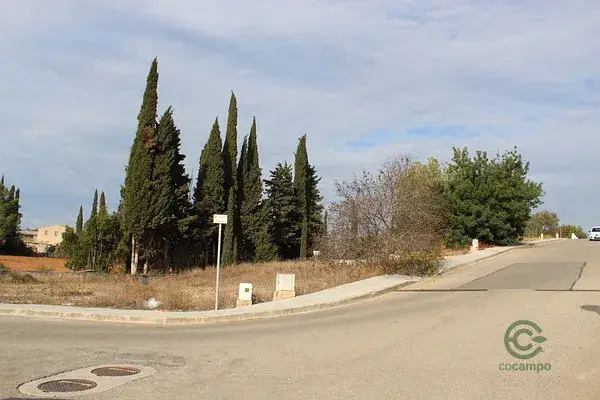Parcela en Amposta Tarragona 005ha Urbanizacion Privada