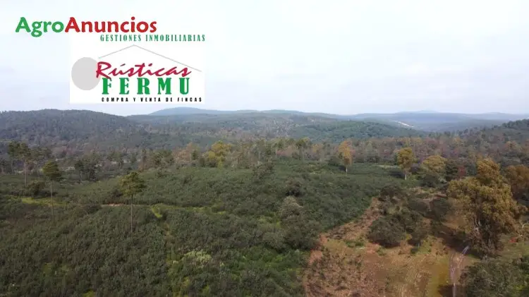 Finca de Caza en Cordoba 770 Hectareas