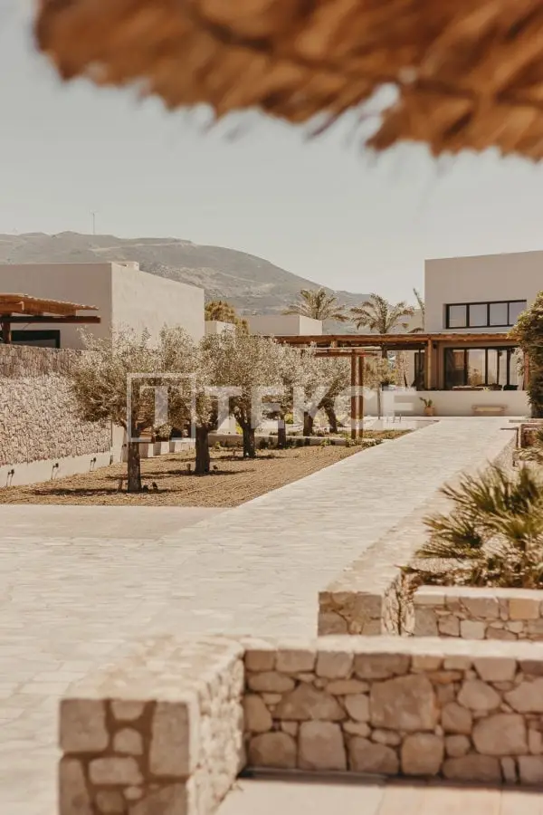 Chalet con Terreno Cultivable en Yecla Murcia