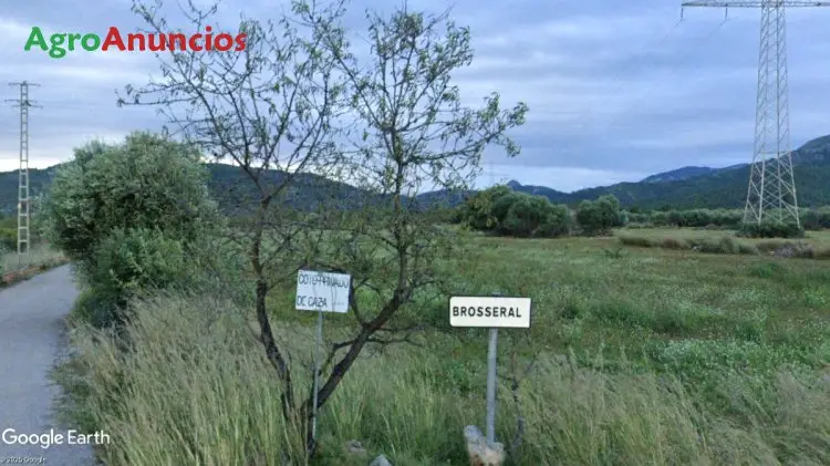 Venta Finca Rustica con Vivienda en Cabanes Castellon