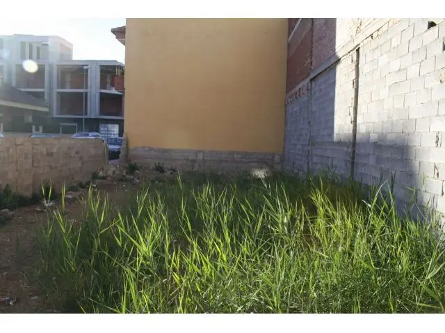 Parcela En Venta En Formentera Del Segura, Alicante