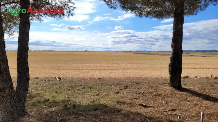 Venta  de Terreno de secano en Toledo