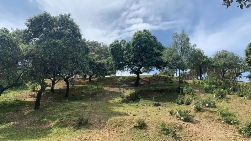 Venta Terreno con vistas en Calasancio, Brillante Córdoba - Ref: M201076
