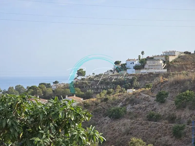 Finca Mangos Benajarafe 36000m2 Inversión Agricola Residencial