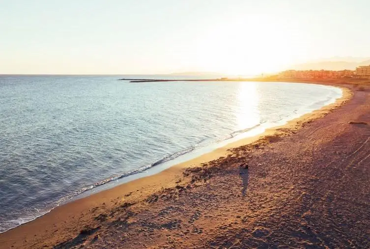 Alegria XII: Apartamentos de Lujo en Torrevieja Cerca de la Playa