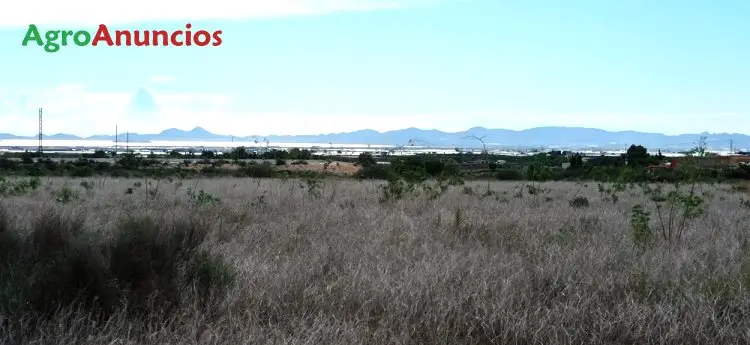 Venta  de Finca rústica cerca del mar en Murcia