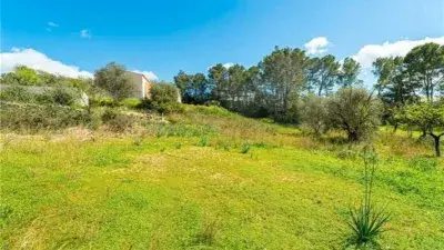 Casa Rustica en Inca 188m2  Parcela 10286m2