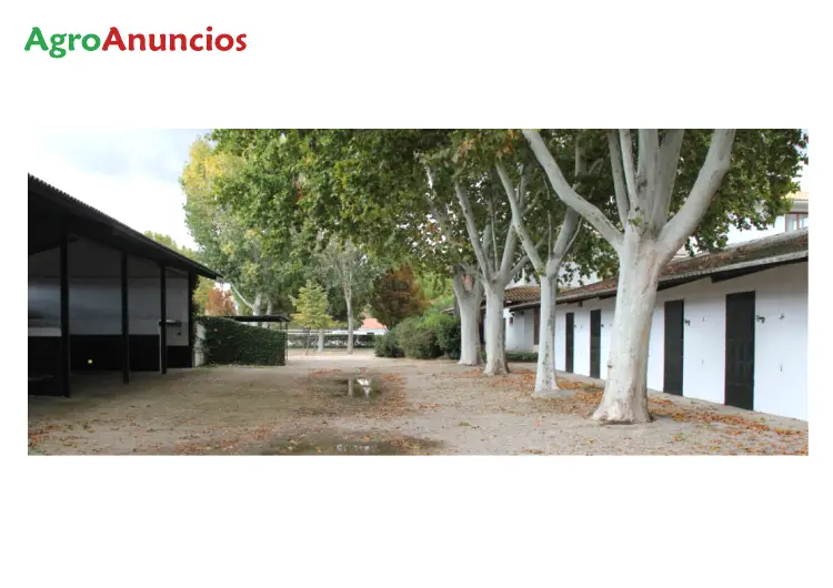 Venta  de Finca de recreo con instalaciones para caballos en Madrid