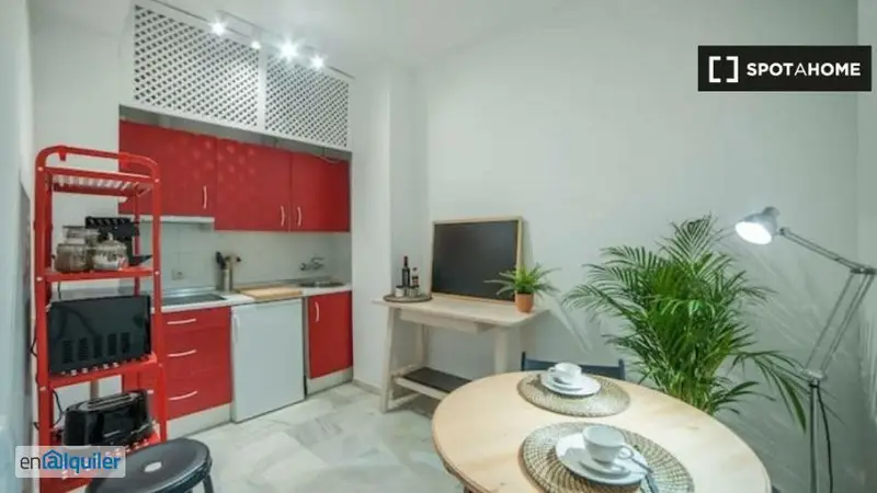 Apartamento 1 Dormitorio Sevilla Centro Wifi