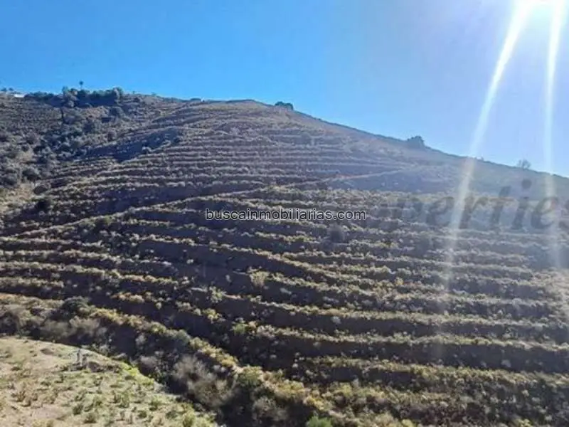 Parcela en Venta Torrox 43000m2 Gran Oportunidad