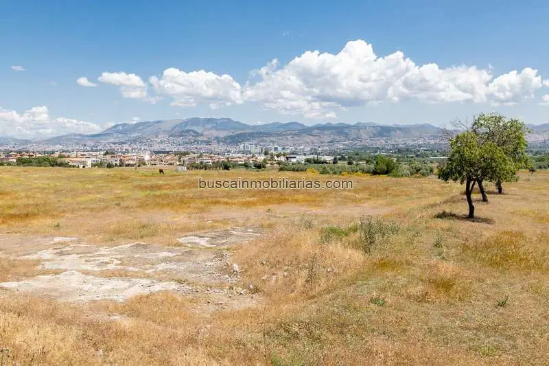 Parcela Urbana Ogíjares 5851m2 Promotores Constructores