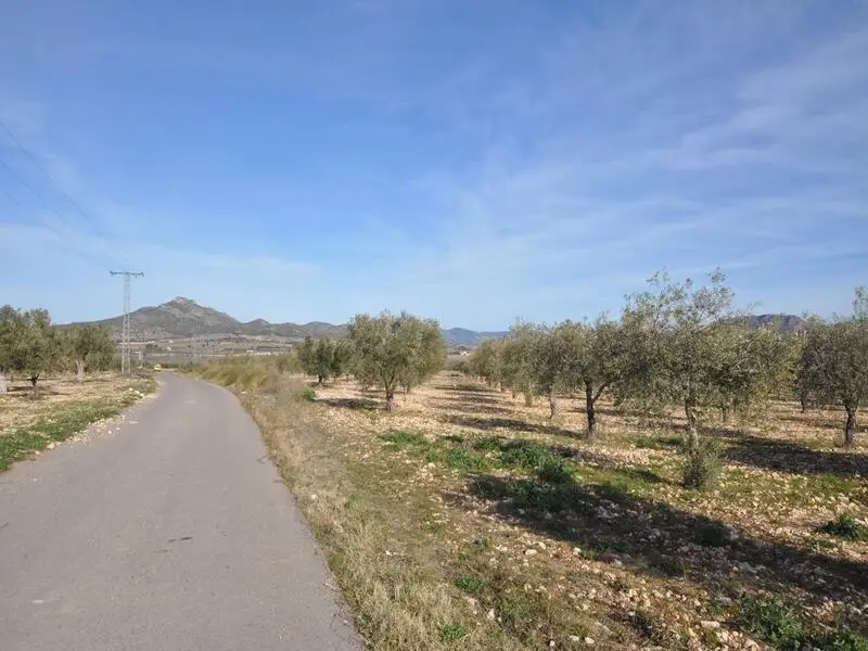 Terreno en Salinas Alicante con Vistas