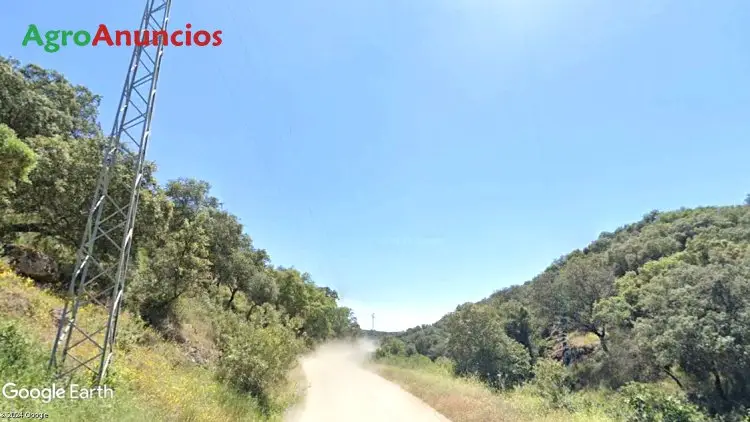 Venta  de Finca de recreo en Sevilla