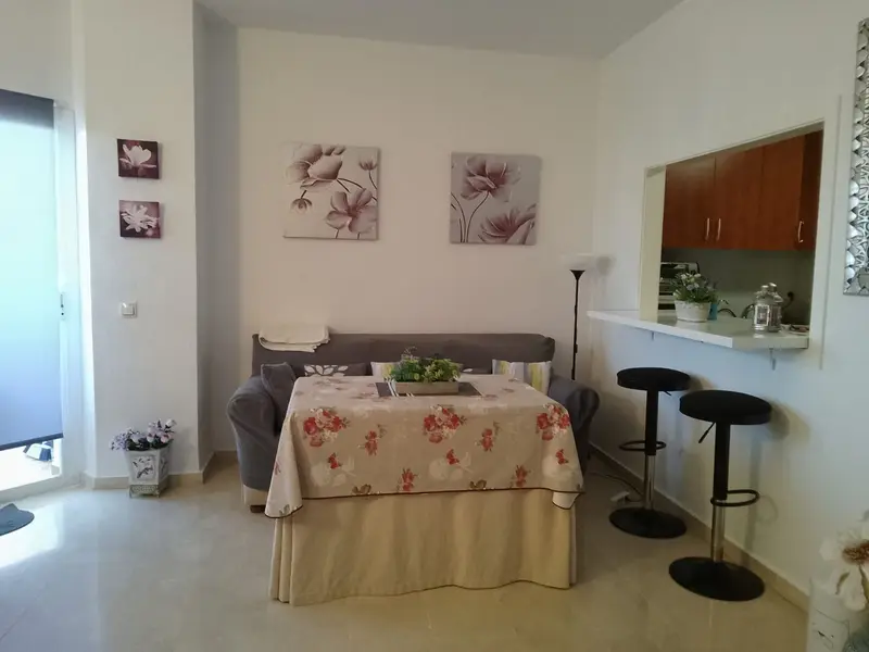 Apartamento 1 Dormitorio El Padron Costa del Sol