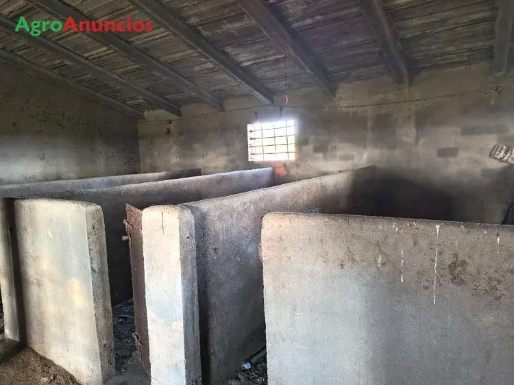 Nave Industrial con Terreno Agricola en Salamanca