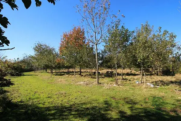 Casa Rural con Enorme Cocina y Gran Terreno Lugo Lancara