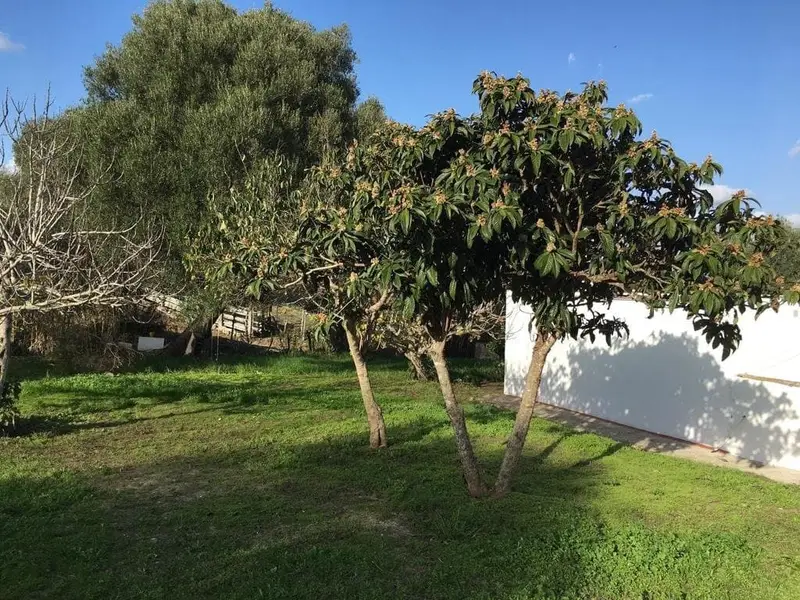 Casa Rural en Vejer de la Frontera Cadiz
