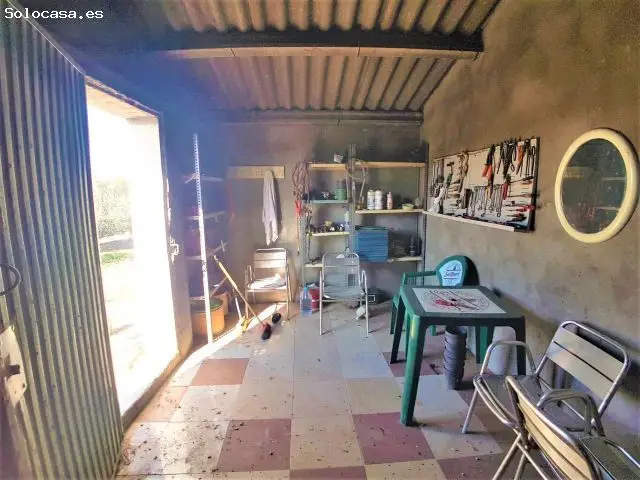 Olivar En Venta En Castelldans, Lleida