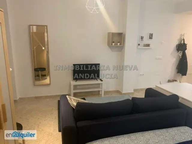 Estudio Amueblado Ciudad Jardin Tagarete Curso Escolar