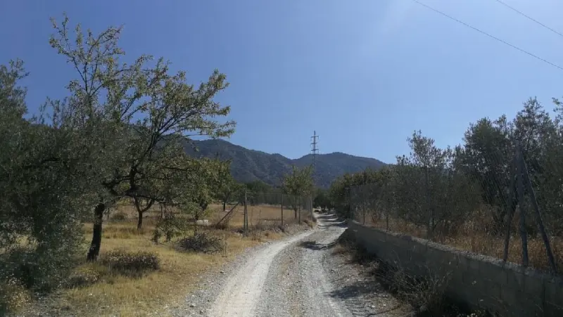 Venta Solar Rustico Padul con Pozo y Alberca