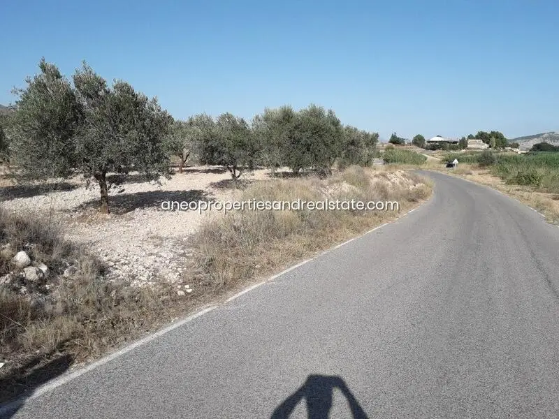 Terreno Agricola en Venta Monóvar
