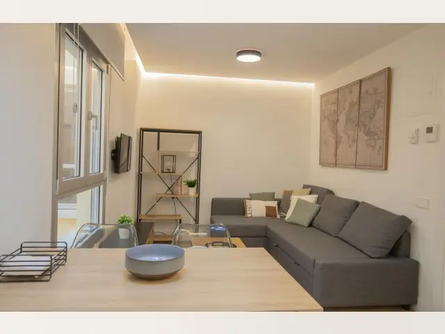 Apartamento 1 Dormitorio Madrid Centro