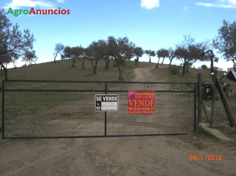 Venta  de Finca de recreo en Badajoz