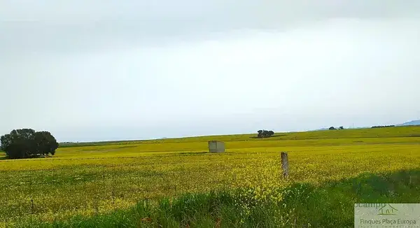 Finca Ganadera 470 Hectareas cerca de Caceres